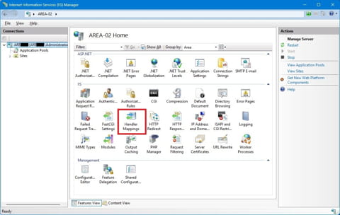 IIS Manager - Handler Mappings